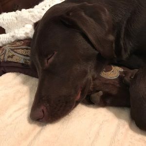 Meet your Posher, Joette